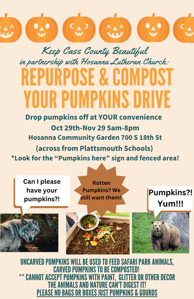 Pumpkin composting 2025