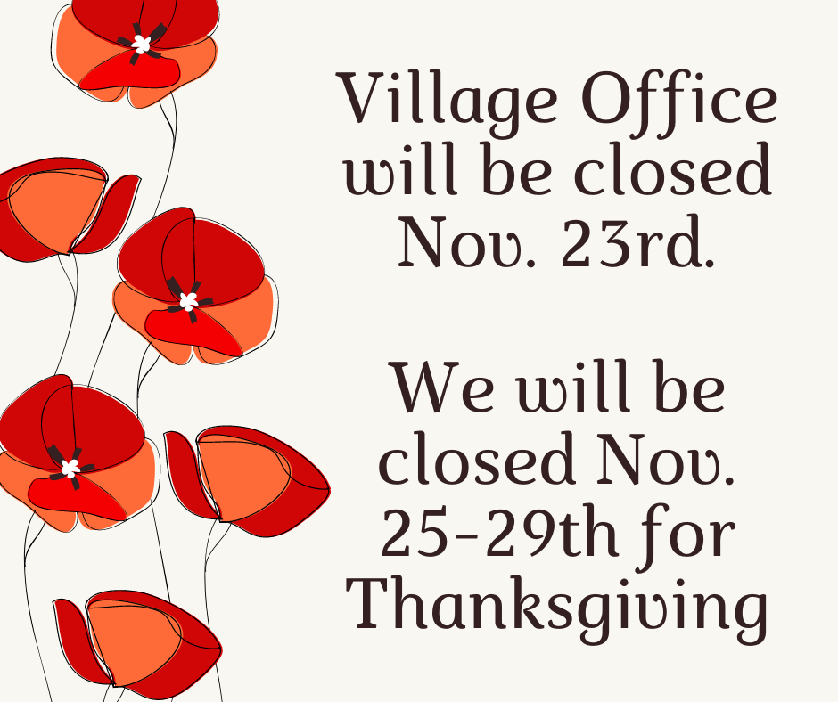 257917339 250908203689319 8139448136857025829 n