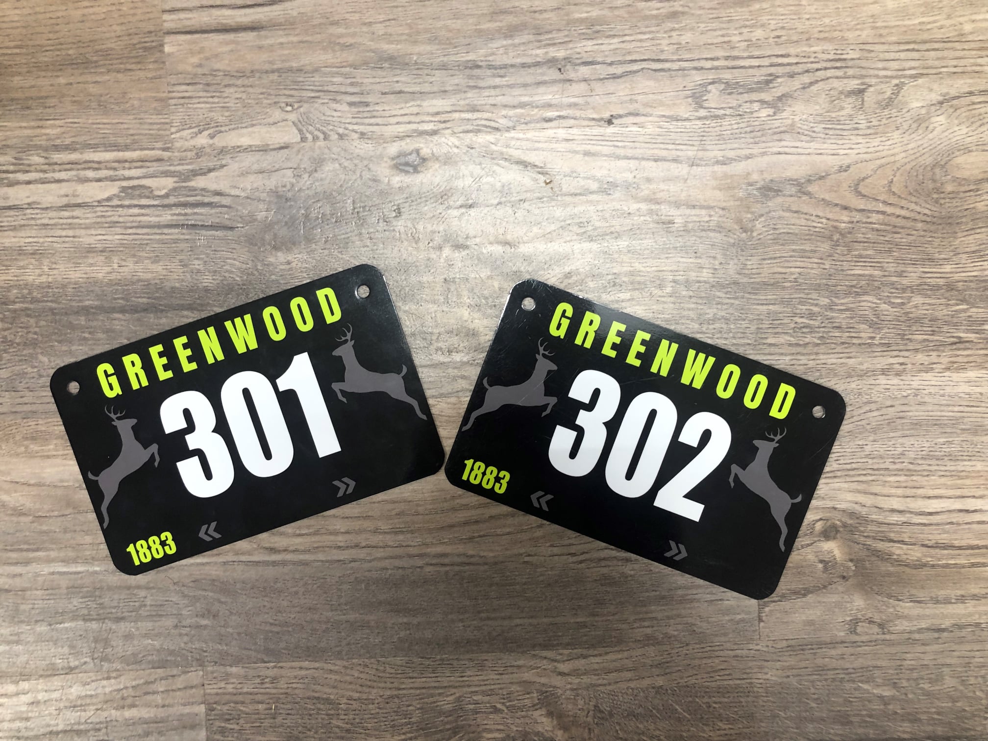 271870855 283771213736351 5987737204136634590 n