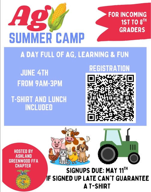 671193994 17982040877996005 7182572057873826089 n